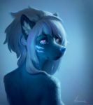  2018 anthro blue_background blue_fur canid canine female fur hair looking_at_viewer looking_back mammal simple_background solo veramundis white_hair 