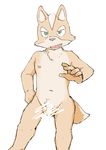  anthro balls canine censored fox fox_mccloud humanoid_penis looking_at_viewer male mammal navel nintendo nude penis shinki_k simple_background solo star_fox video_games white_background 