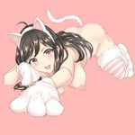  absurdres ahoge aira_(shironeko_project) all_fours animal_ears bad_id bad_pixiv_id bangs black_hair blush breasts cat_ears character_request commentary_request eyebrows_visible_through_hair full_body fur-trimmed_legwear fur_trim gloves hairband highres long_hair looking_at_viewer medium_breasts nipples no_bra nude open_mouth outstretched_arm paw_gloves paws pink_background red_eyes sanwenyu_ganlao shironeko_project solo striped striped_legwear tail teeth 