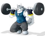  2018 anthro biceps canine chest_tuft clothing digital_media_(artwork) dumbbell footwear fur gloves greydaboy hi_res male mammal muscular muscular_male necktie pants shirt shoes tank_top tuft weights wolf 