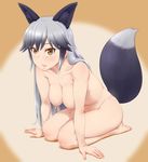  :d animal_ears barefoot blush breasts brown_eyes cleavage extra_ears grey_hair hanging_breasts kemono_friends long_hair looking_at_viewer medium_breasts nipples nude open_mouth seiza shikuta_maru silver_fox_(kemono_friends) sitting smile solo tail 