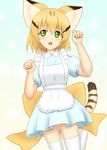  :o absurdres alternate_costume animal_ears apron blonde_hair bow cat_ears cat_tail commentary dress enmaided fang green_eyes highres kemono_friends maid multicolored_hair open_mouth paw_pose sand_cat_(kemono_friends) shiraha_maru short_hair tail white_legwear 