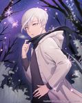  alternate_costume androgynous antarcticite coat contemporary gwangbu_(van60187029) hand_on_hip highres hood hooded_jacket houseki_no_kuni jacket looking_at_viewer night night_sky outdoors scarf short_hair sky solo sparkle star_(sky) starry_sky tree white_eyes white_hair winter_clothes 