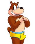  banjo-kazooie banjo_(banjo-kazooie) bear briefs clothing erection male mammal musical_instrument nishi simple_background underwear video_games white_background yellow_underwear 