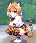  animal_ears arm_rest blonde_hair bow bowtie closed_mouth commentary_request day eyebrows_visible_through_hair full_body fur_collar gloves hand_to_own_mouth hand_up jaguar_(kemono_friends) jaguar_ears jaguar_print jaguar_tail kemono_friends looking_at_viewer multicolored multicolored_clothes multicolored_hair multicolored_legwear outdoors print_gloves print_skirt quatre_aaaa shirt shoes short_hair short_sleeves skirt solo squatting tail thighhighs tsurime white_footwear white_hair white_shirt yellow_eyes zettai_ryouiki 