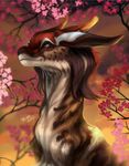  2017 brown_eyes brown_fur day detailed_background digital_media_(artwork) dragon eastern_dragon echo_(nendakitty) feral fur furred_dragon headshot_portrait horn outside portrait smile solo trioza 