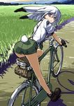  animal_ears ass bangs bent_over bicycle black_footwear black_gloves bunny_ears bunny_tail day eyebrows eyebrows_visible_through_hair fingerless_gloves floppy_ears gloves grass green_neckwear green_shorts ground_vehicle hair_between_eyes inubou necktie open_mouth original outdoors path purple_eyes ribbed_legwear riding road shadow shirt shoes short_hair short_sleeves shorts sitting socks solo suspenders tail triangle_mouth usagi_(inubou) wheel white_hair white_legwear white_shirt 
