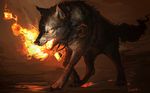 2013 alradeck black_fur black_nose canine digital_media_(artwork) feral fire fur grey_fur mammal open_mouth paws solo wolf 