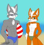  beach blackwingedheart87 clothing duo fox_mccloud male nintendo seaside speedo star_fox swimsuit video_games wolf_o&#039;donnell 