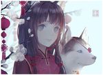  animal animal_ears bangs brown_hair chinese_clothes chinese_new_year closed_mouth commentary_request dog dog_ears echosdoodle flower grey_eyes lantern looking_at_viewer new_year original outdoors paper_lantern red_shirt shirt smile solo white_flower winter 