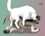  2018 all_fours anal anal_penetration anthro anthro_on_feral balls bestiality bite canine chakat-silverpaws claws cum cum_in_ass cum_inside digital_media_(artwork) doggystyle duo feral from_behind_position fur hair hi_res hindpaw male male/male mammal mount nude open_mouth orgasm pawpads paws penetration penis sex simple_background smile soles tongue wolf 
