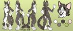  2016 anthro cat ciaran_tenebris digitigrade feline green_background green_eyes looking_at_viewer male mammal model_sheet open_mouth ritzbitz simple_background smile standing tabby waving 