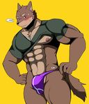  anthro bearlovestiger13 biceps black_nose brown_fur bulge canine clothing dog fur hi_res himitsuri_no_lagoon kemono male mammal muscular muscular_male nipples pecs simple_background underwear yuujirou_(character) 