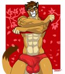  2018 abs anthro border brown_fur brown_hair brown_tail bulge clothed clothing clothing_lift cougar digital_media_(artwork) erection erection_under_clothes eyebrows eyewear feline fingerless_(marking) front_view fur glasses hair hi_res looking_at_viewer male mammal multicolored_fur muscular muscular_male navel one_eye_closed outside_border penis_outline petals pink_nose red_background red_bottomwear red_clothing red_shirt red_topwear seibear shirt shirt_lift short_hair signature simple_background solo speedo standing swimsuit two_tone_fur undressing white_border white_fur wink yellow_eyes 