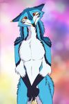  2018 4_fingers anthro black_fur blue_fur blurred_background cinta convenient_censorship ears_back fur girly looking_at_viewer male markings multicolored_fur neck_tuft red_eyes rengako_(egsaku) sergal shy slit_pupils smile solo standing tan_fur tuft white_fur yellow_fur 