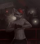  abs anthro canine clothed clothing feline fighting_ring fingerless_gloves finnian_ennis fur gloves group hair keumano male mammal smile solo_focus standing tiger whiskers 