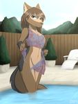  2018 4_fingers anthro blue_eyes breasts brown_hair canine day detailed_background digital_media_(artwork) ear_piercing featureless_breasts featureless_crotch female hair infinitedge2u mammal outside partially_submerged piercing smile solo water wolf 