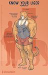  anthro barazoku biceps big_muscles bulge clothing english_text feline fur huge_muscles hybrid liger mainlion male male_focus mammal model_sheet muscular muscular_male nipples obliques pecs shirt shorts solo standing tank_top text triceps vein veiny_muscles watch 
