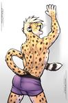  5_fingers anthro black_fur black_spots blonde_hair boxer_briefs bulge butt cheetah claws clothing countershading digital_media_(artwork) dropp feline fur furgonomics hair mammal multicolored_fur purple_eyes purple_underwear raised_tail simple_background spots tail_clothing tsaiwolf underwear whiskers white_fur yellow_fur 