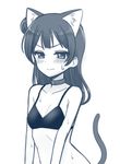  &gt;:) animal_ears bangs bare_arms bare_shoulders bikini_top blush breasts buckle cat_ears cat_tail cleavage closed_mouth collar deadnooodles eyebrows_visible_through_hair long_hair looking_at_viewer love_live! love_live!_sunshine!! monochrome shiny shiny_hair side_bun simple_background small_breasts solo sweatdrop tail tsushima_yoshiko upper_body v-shaped_eyebrows white_background 