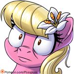  2017 alpha_channel blonde_hair digital_media_(artwork) earth_pony equine eyelashes female flower flower_in_hair friendship_is_magic hair headshot_portrait horse lily_(mlp) long_hair mammal my_little_pony patreon plant pony portrait pusspuss reaction_image shocked simple_background solo transparent_background 