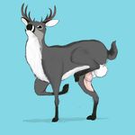  2017 balls cervine da~blueguy deer feral looking_at_viewer male mammal penis solo 