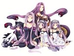  5_girls bare_shoulders choker closed_mouth collarbone euryale frills gorgon_(fate) hairband lolita_hairband medusa_(lancer)_(fate) purple_eyes purple_hair rider snake stheno thighhighs twintails very_long_hair 