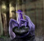  2012 ambiguous_gender ankard claws digital_media_(artwork) dragon hair membranous_wings purple_hair purple_skin sitting wings 