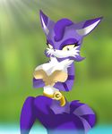  anthro big_the_cat breasts cat covering covering_breasts covering_self crossgender feline female looking_at_viewer mammal nude outside sitting solo sonic_(series) video_games 