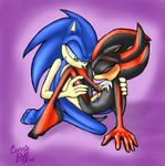  anal anthro carriepika duo eyes_closed gay green_eyes hedgehog male mammal orgasm penetration sega shadow_the_hedgehog sonic_(series) sonic_team sonic_the_hedgehog unknown_artist 