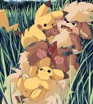  arcanine lando nintendo pikachu pokemon 