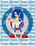  gninrom sonic_team sonic_the_hedgehog tagme 