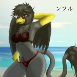  2018 absurd_res amy_(flash_draw) anthro avian beach bikini breasts clothed clothing digital_media_(artwork) female flash_draw gryphon hair half-closed_eyes hi_res looking_at_viewer mature_female red_eyes sea seaside short_hair smile solo swimsuit water 