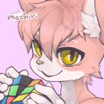  bust_portrait cat feline fur hair kemono magenta_background male mammal mochiri pink_fur pink_hair portrait rubik&#039;s_cube simple_background solo vinari_&quot;sigma&quot;_tedori white_fur yellow_eyes 