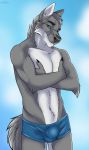  2018 5_fingers anthro athletic black_nose blue_background blue_eyes blurred_background bulge canine cinta clothed clothing crossed_arms eyebrows fur grey_fur grey_hair hair looking_at_viewer male mammal multicolored_fur simple_background solo standing topless two_tone_fur underwear white_fur wolf 
