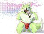  2013 anthro black_nose blush bulge canine clothed clothing eyes_closed fur green_fur hands_behind_back kneeling male mammal solo sum_kemono topless underwear white_fur wolf 