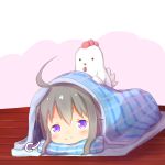  ahoge animal bangs bird blush chicken closed_mouth commentary_request eyebrows_visible_through_hair futon grey_hair hair_between_eyes highres long_hair lying on_stomach original pillow purple_eyes sidelocks smile smug solo su_guryu under_covers wooden_floor 