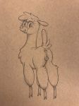  2018 absurd_res alpaca animal_genitalia animal_pussy anus brown_background butt camelid equine_pussy eyelashes female feral hi_res long_neck looking_at_viewer looking_back mammal monochrome paprika_paca_(tfh) pencil_(artwork) presenting presenting_hindquarters puffy_anus pussy quadruped rear_view selenophile sepia simple_background smile solo teeth them&#039;s_fightin&#039;_herds traditional_media_(artwork) 