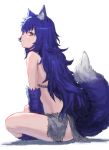  animal_ear_fluff animal_ears blue_hair closed_mouth commentary_request eyebrows_visible_through_hair fenrir_(shingeki_no_bahamut) from_side full_body highres indian_style loincloth long_hair looking_at_viewer pout red_eyes shingeki_no_bahamut simple_background sitting solo tail wasabi60 white_background wolf_ears wolf_tail 