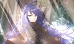  ahoge bad_id bad_pixiv_id character_request closed_mouth eyebrows_visible_through_hair light_rays long_hair looking_at_viewer male_focus o_yat outdoors purple_eyes purple_hair solo tales_weaver upper_body 