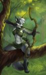  5_fingers anthro arrow black_bars black_nose blue_eyes bow breasts canine day demicoeur detailed_background digital_media_(artwork) female grey_hair hair holding_object holding_weapon mammal midriff navel outside solo weapon 