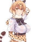  animal_ears arm_behind_head belt black_neckwear blonde_hair blush bow bowtie breasts center_frills commentary elbow_gloves eyebrows_visible_through_hair fur_collar gloves hasu_(hk_works) high-waist_skirt jaguar_(kemono_friends) jaguar_ears jaguar_print jaguar_tail kemono_friends large_breasts looking_at_viewer parted_lips print_gloves print_skirt see-through short_hair simple_background skirt solo tail upper_body wet wet_clothes white_background yellow_eyes 