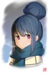  blue_hair blue_scarf blush breath closed_mouth eyebrows_visible_through_hair goemon1110 hair_between_eyes hair_bun highres looking_at_viewer pink_eyes scarf shima_rin smile solo upper_body yurucamp 