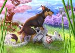  amaterasu anus canine capcom deity digital_media_(artwork) doberman dog duo female female/female feral fur hi_res mammal markings maryquize outside pussy pussy_juice sex smile video_games white_fur wolf ōkami 