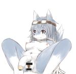  2017 anthro blush breasts canine censor_bar dog eyewear fur goggles herm intersex looking_at_viewer mammal nude penis pussy raaggu sackless simple_background solo spread_legs spreading white_background 