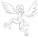  2015 animal_legs anthro anthrofied avian black_and_white blush breasts cutie_mark equine feathered_wings feathers female friendship_is_magic harpy hi_res hybrid mammal monochrome my_little_pony nipples nude pegasus poprocks pussy rainbow_dash_(mlp) small_breasts solo wings 