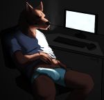  anthro brown_fur bulge canine cigarette clothed clothing computer erection fur keyboard male mammal mouse partially_(disambiguation) penis rodent sepulte smoking solo underwear 