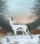  day digital_media_(artwork) dschunai equine feral horn mammal outside sky snow snowing solo standing unicorn 