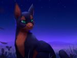  2018 animated black_fur brown_fur cat detailed_background digital_media_(artwork) feline feral fur green_eyes mammal no_sound rodrigues404 sitting smile solo wind 
