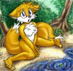  2_tails anthro blue_eyes breasts canine chest_fur chest_tuft claws crossgender detailed_background digital_media_(artwork) embarrassed featureless_breasts female forest fox fur hair illys lake looking_at_viewer low_res mammal miles_prower multi_tail nude oekaki open_mouth outside simple_background sitting solo sonic_(series) spread_legs spreading toe_claws tree tuft water white_fur yellow_fur 